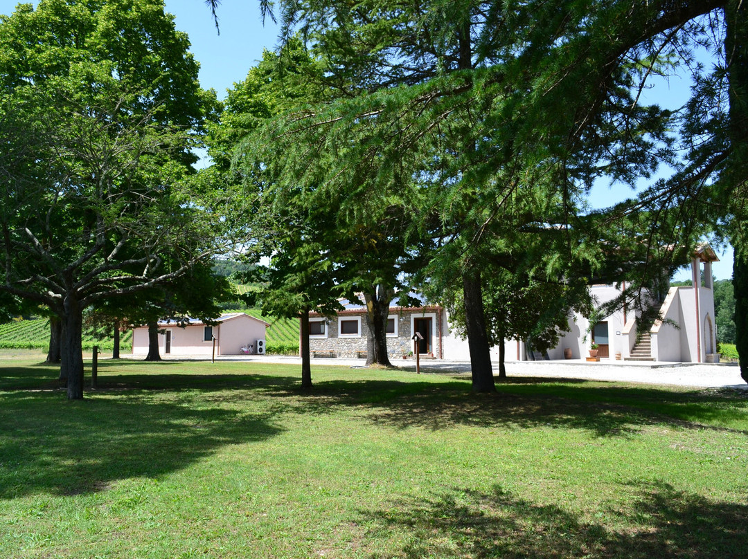 Farmhouse Barcavecchia