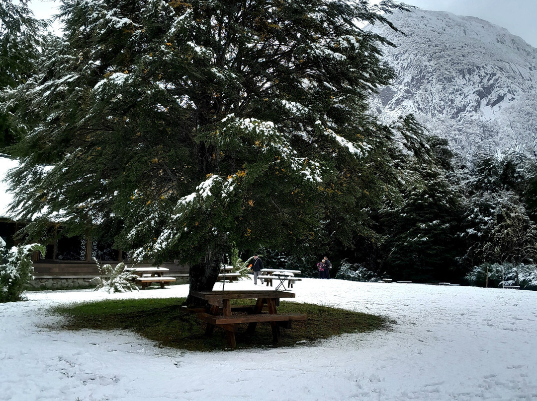Puerto Blest & Cascada de los Cántaros-圣卡洛斯-德巴里洛切必去景点