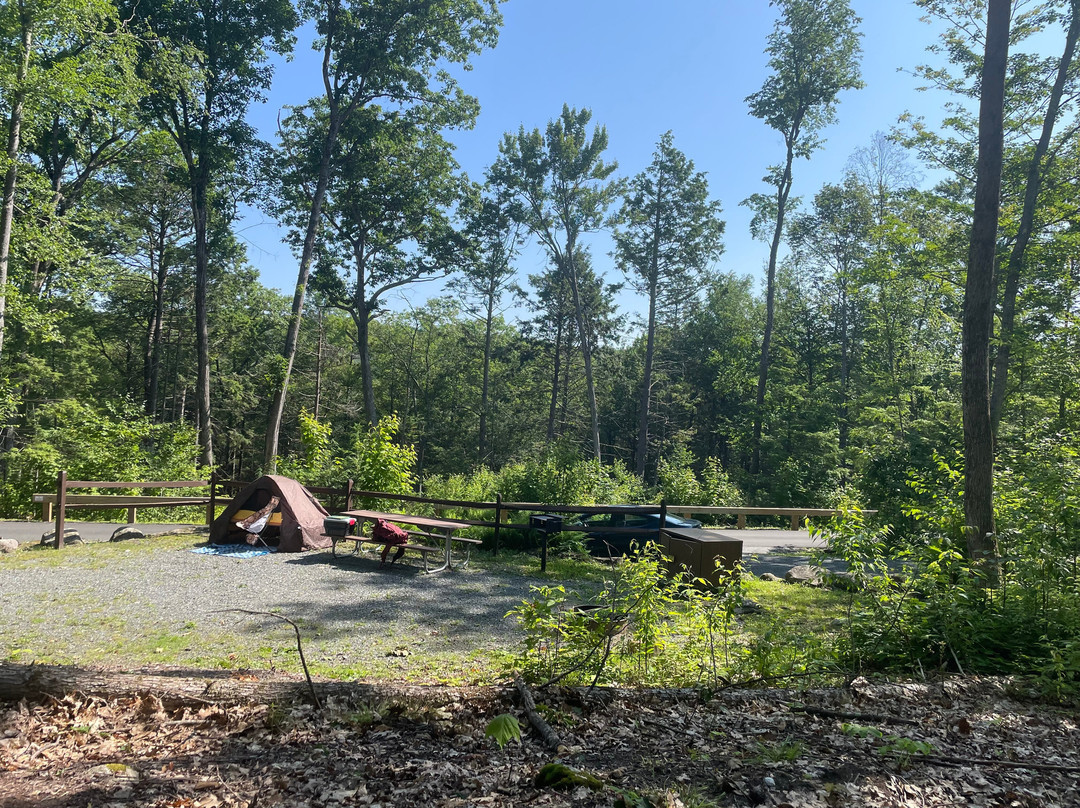 Erving State Forest