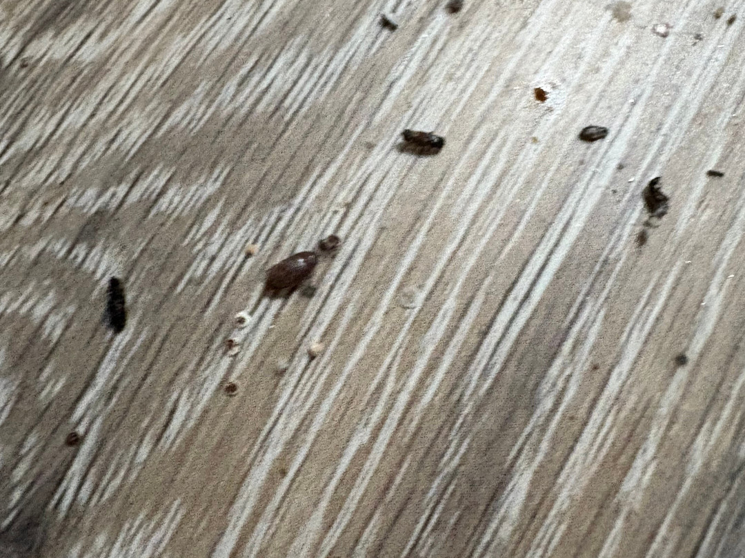 Travellers Inn Hanover主图