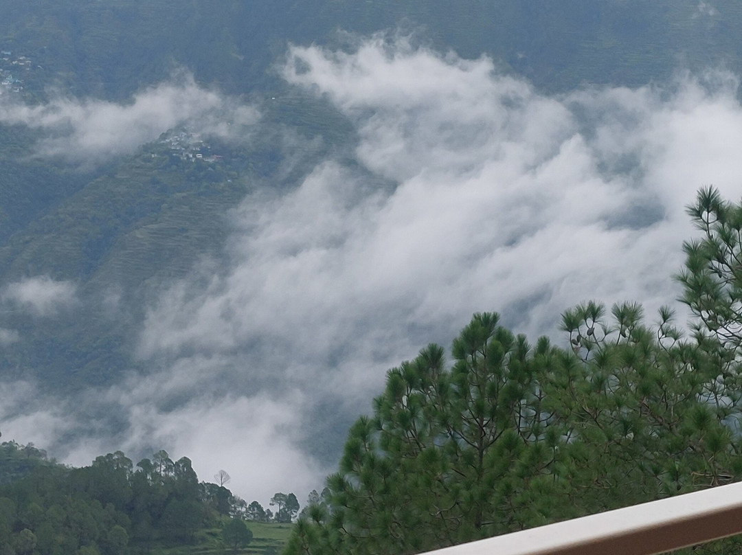 The Woods Retreat主图