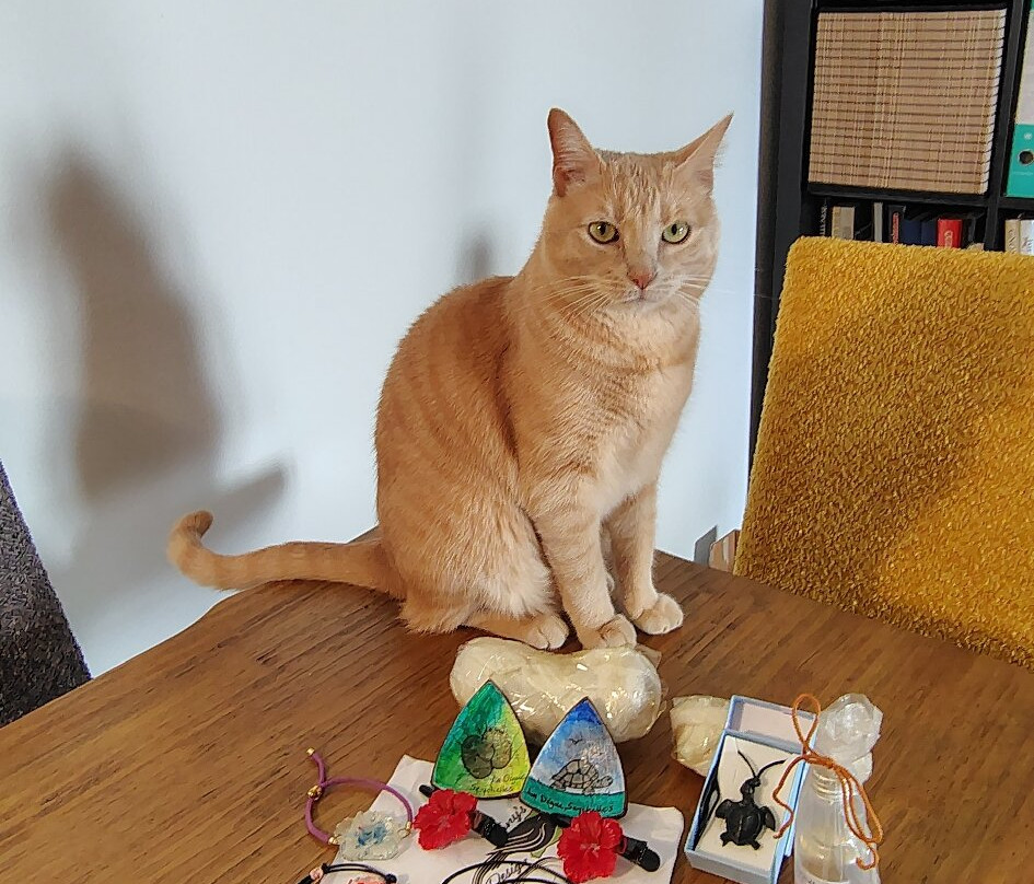 Tony's Design-La Digue必去景点