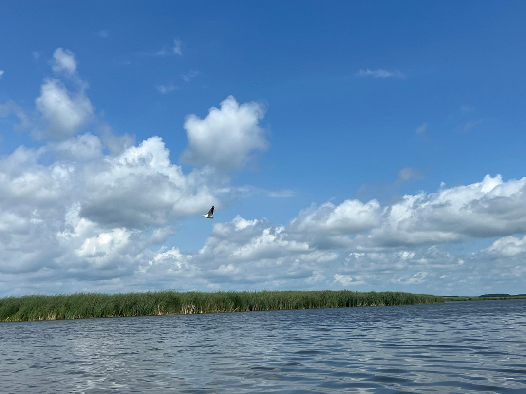 Honeybee Inn Bed & Breakfast主图