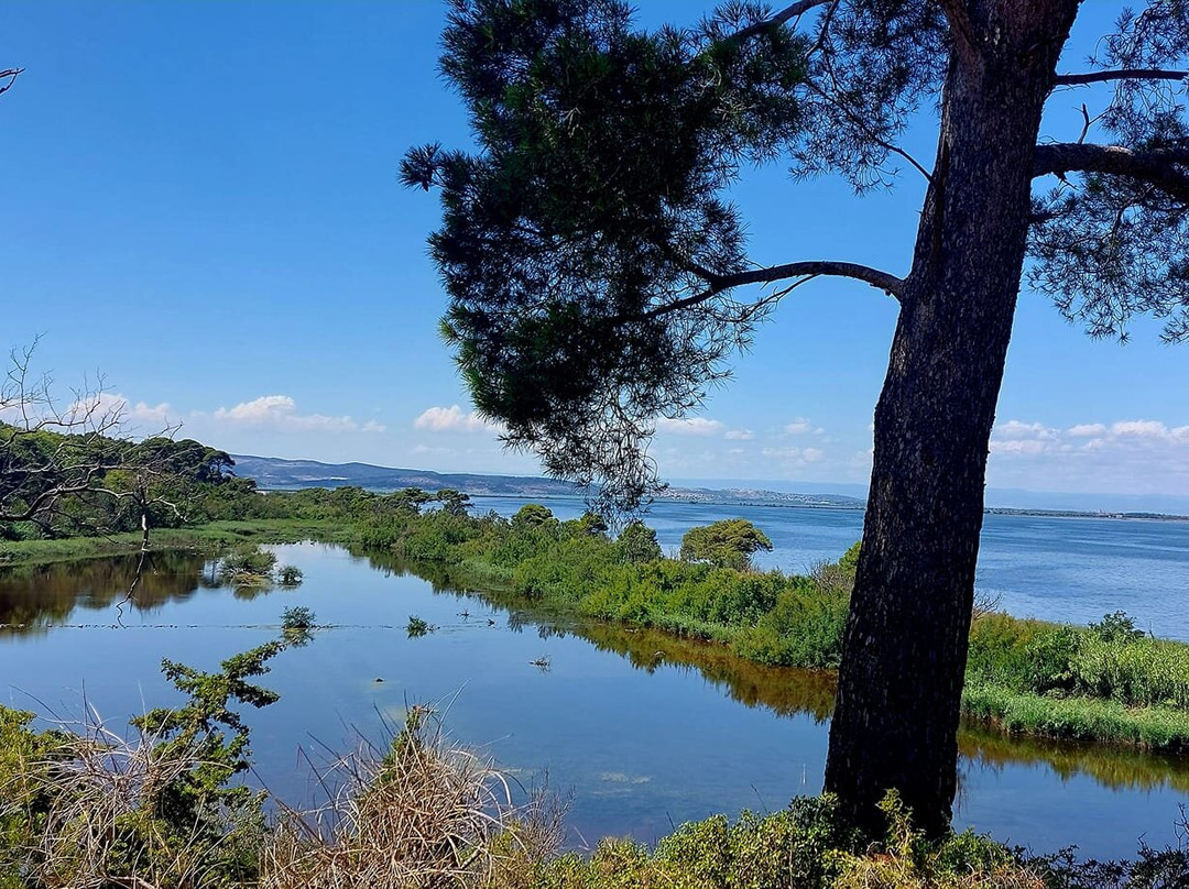Ile Sainte-Lucie-Port La Nouvelle必去景点
