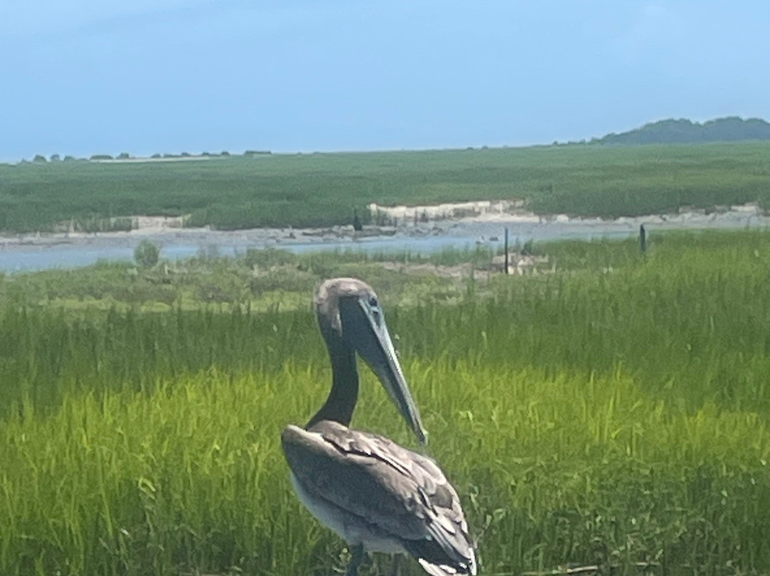 默特尔沙滩-美特尔海滩必去景点