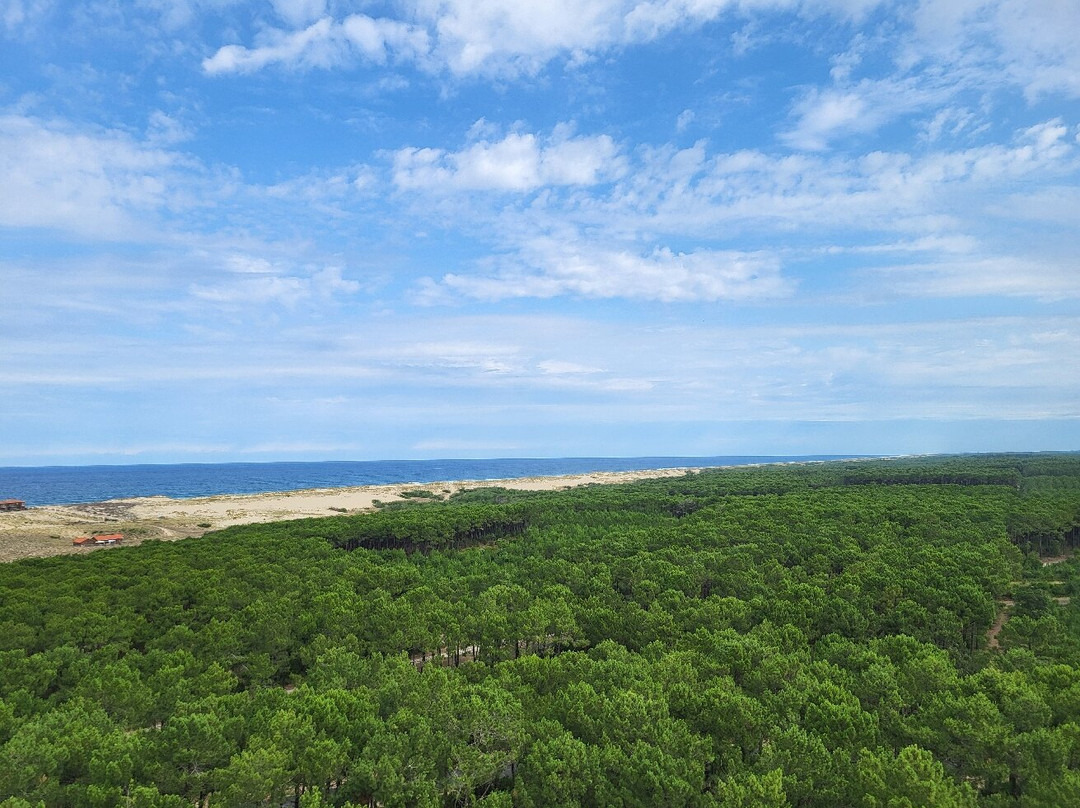 Phare de Contis-Saint-Julien-en-Born必去景点