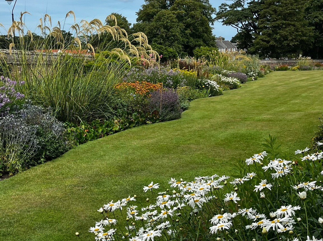Dirleton Castle-Dirleton必去景点