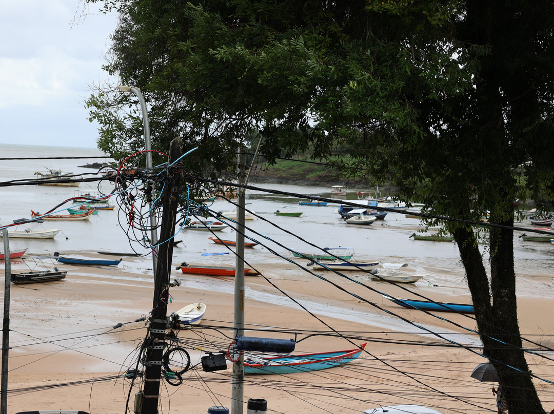 Barracuda Boutique主图