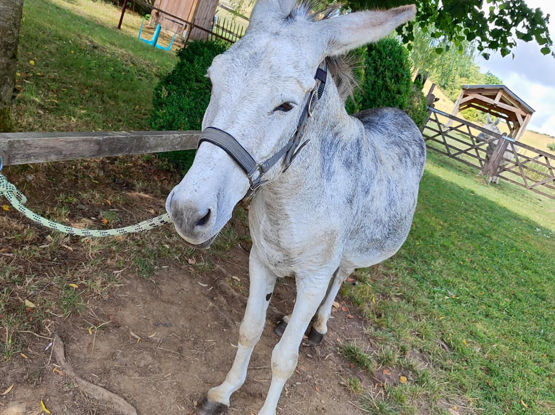 Anes et Co-Walcourt必去景点