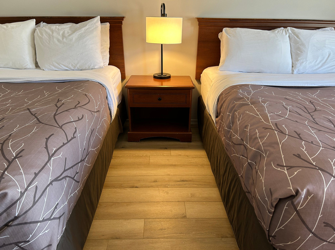 里多海斯旅馆主图