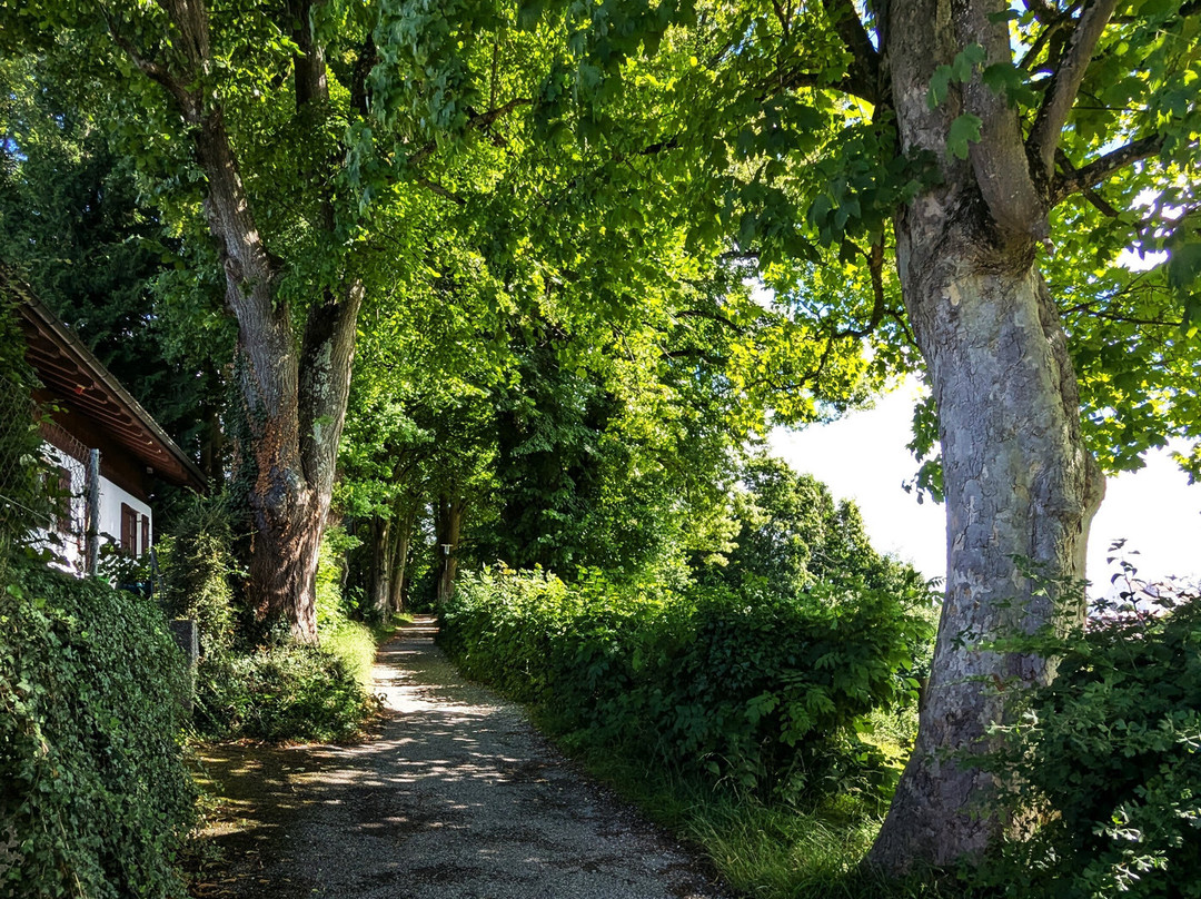 Kottmullerallee-Murnau必去景点