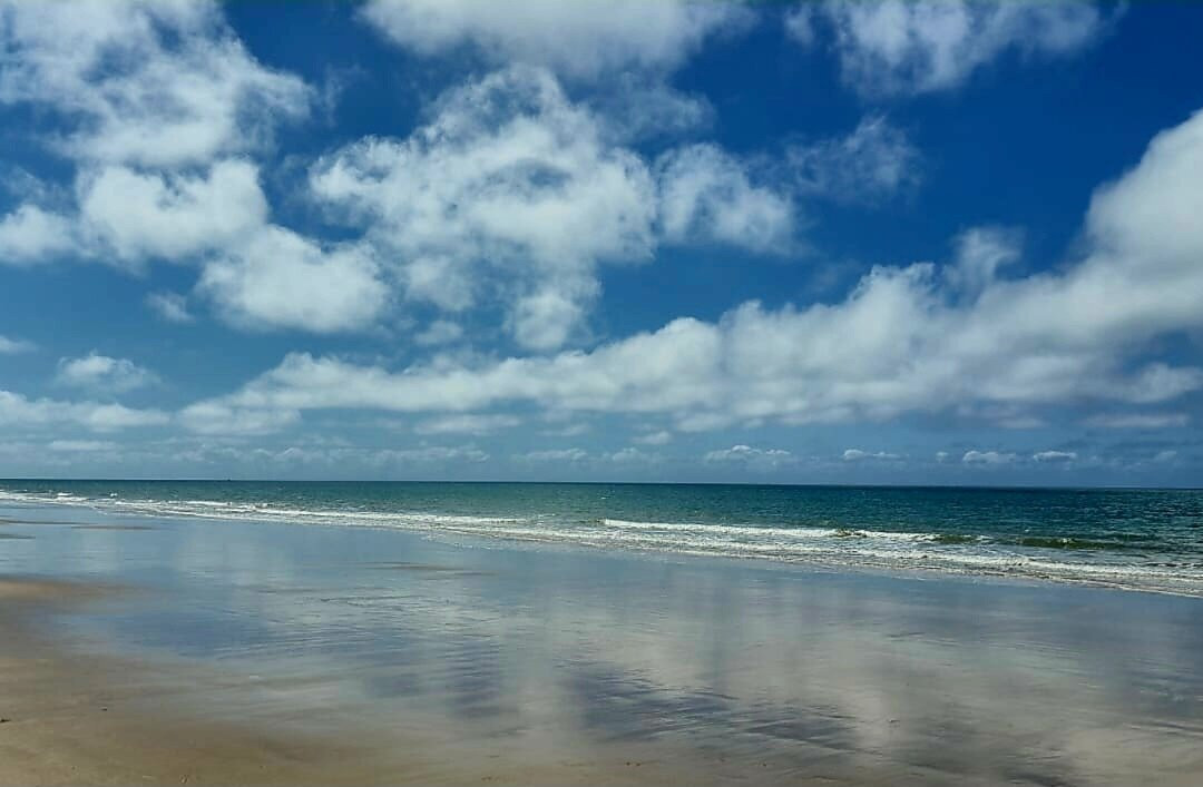 Cape Tribulation Beach-Cape Tribulation必去景点