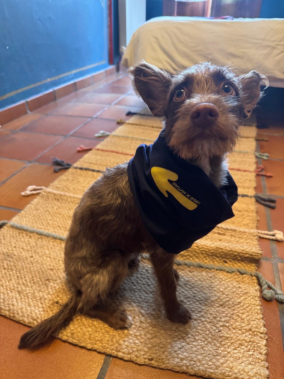 Holiday Inn Express Logroño Rioja-官方