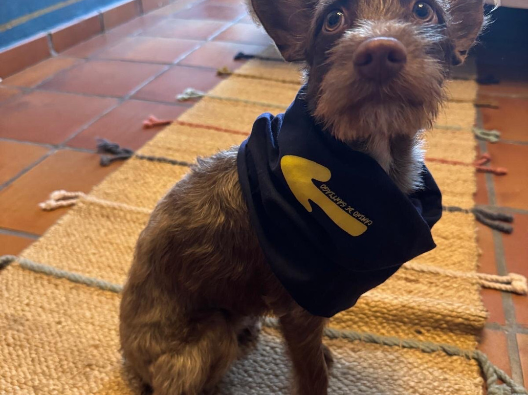 Holiday Inn Express Logroño Rioja主图