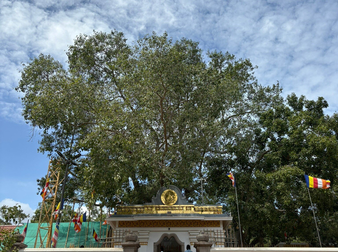 Anuradhapura Ancient City-阿努拉德普勒圣城必去景点