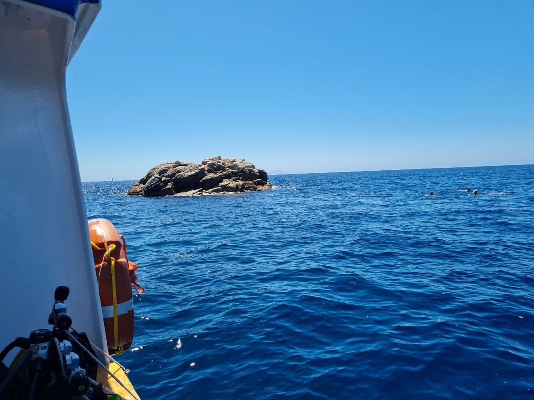 Sub Now Diving Center-Marina di Campo必去景点