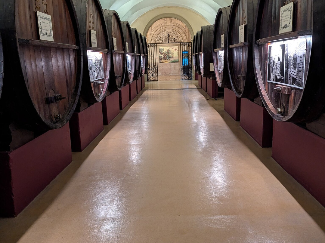 Patriarche Pere & Fils-博讷必去景点