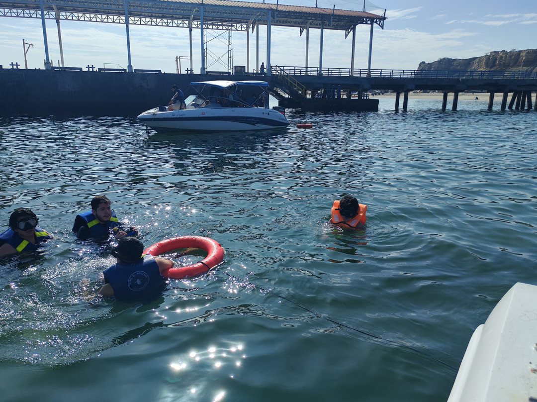 Tours El Pingüino-Organos必去景点