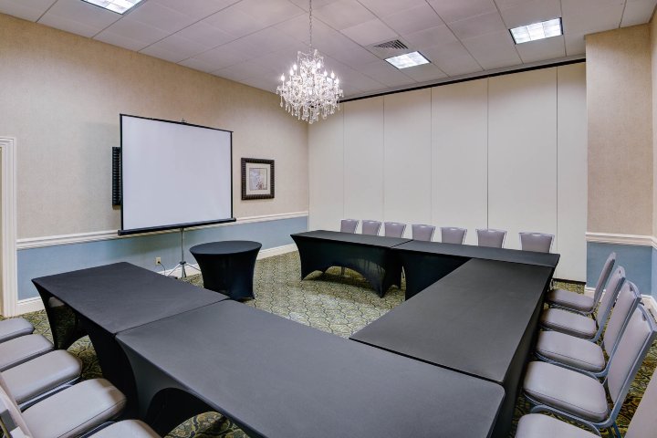 弗里霍尔德丽笙酒店-商务中心/多功能厅