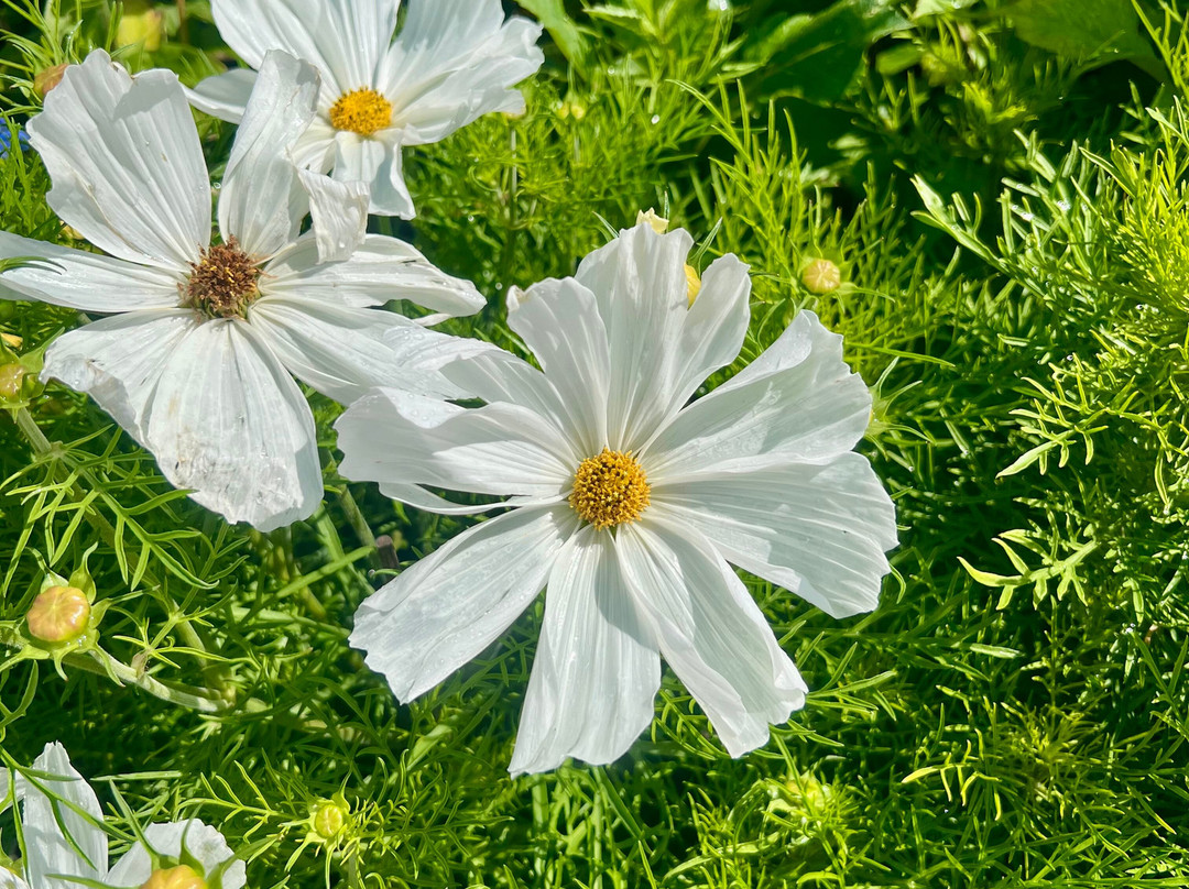 Dyreparken-克里斯蒂安桑必去景点