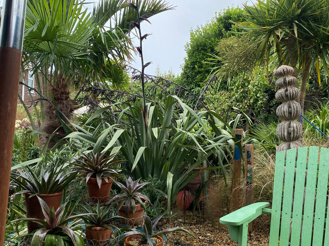 Driftwood by Sea-西福德必去景点