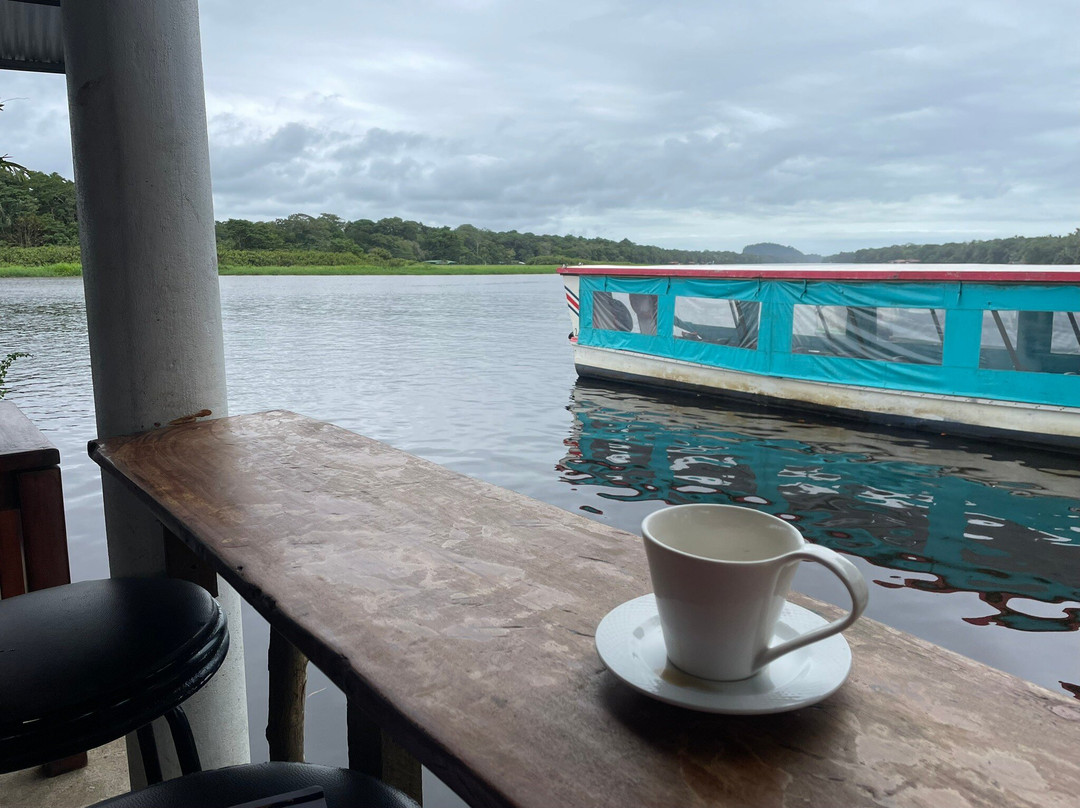 Tortuguero Tree Coffe House