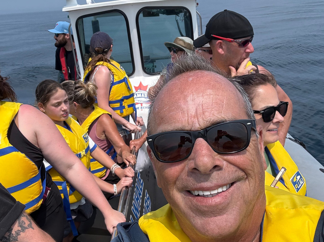 Ingonish Whale Watching-Ingonish必去景点