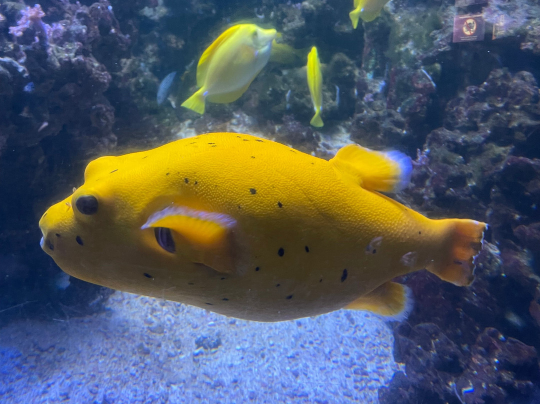 SEA LIFE Helsinki-赫尔辛基必去景点