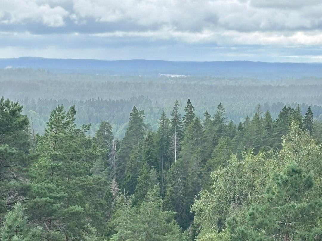 Naturreservatet Skurugata & Skuruhatt-Eksjo必去景点