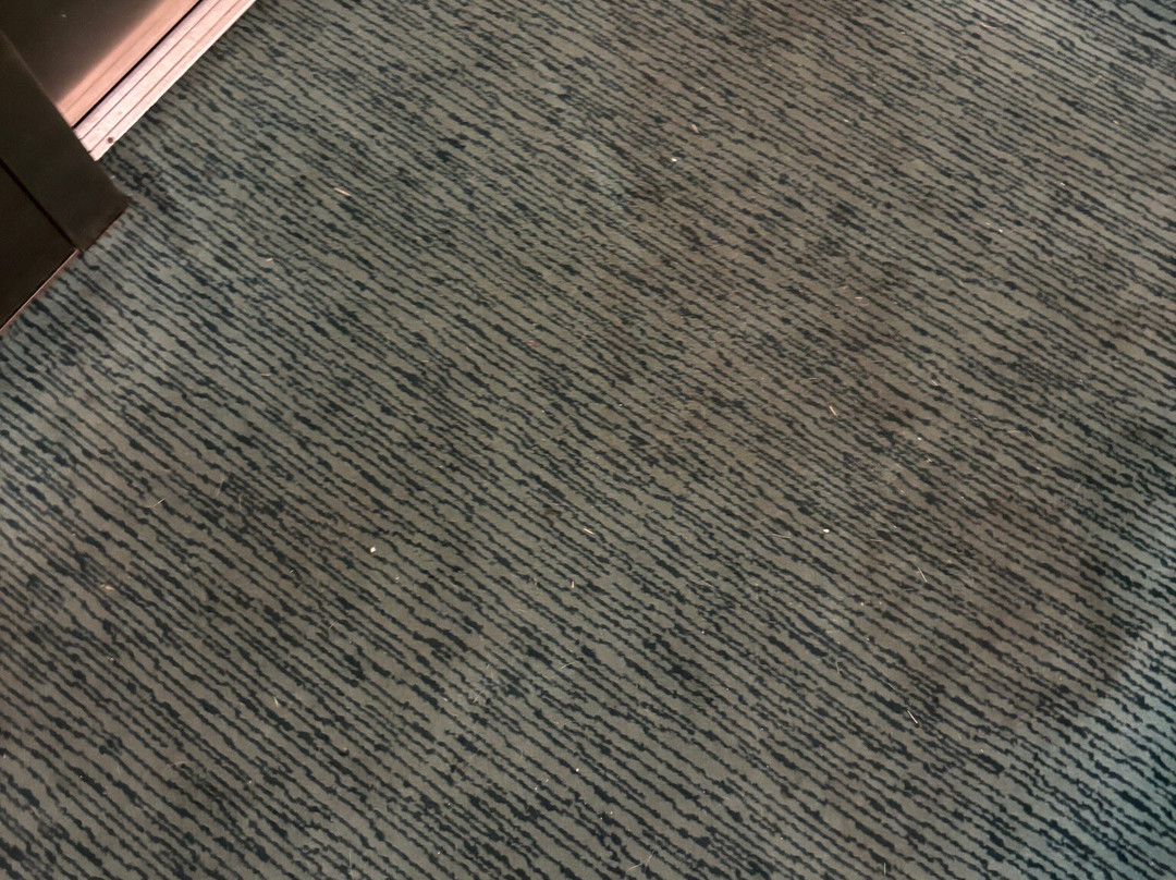 MainStay Suites Appleton Airport - Fox River Mall Area主图