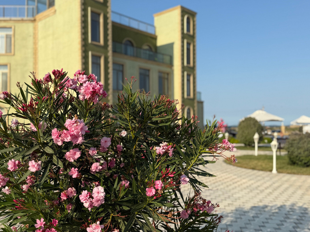 Khazar Inji Hotel主图