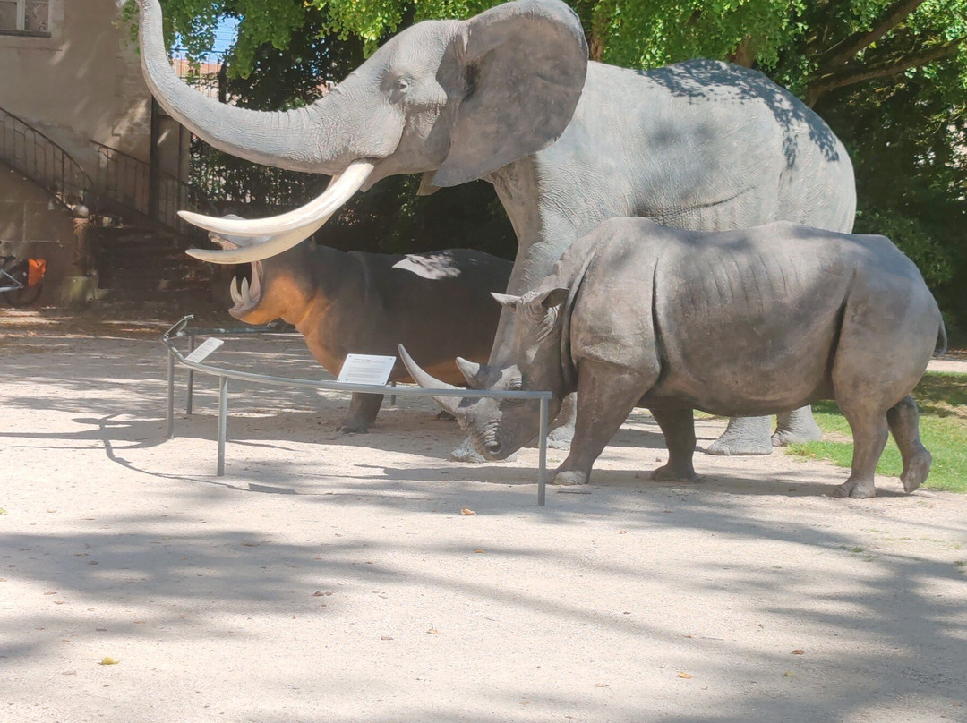 Jardin de l'Arquebuse-第戎必去景点