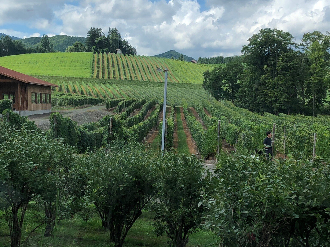 Furano Wine Factory-富良野市必去景点