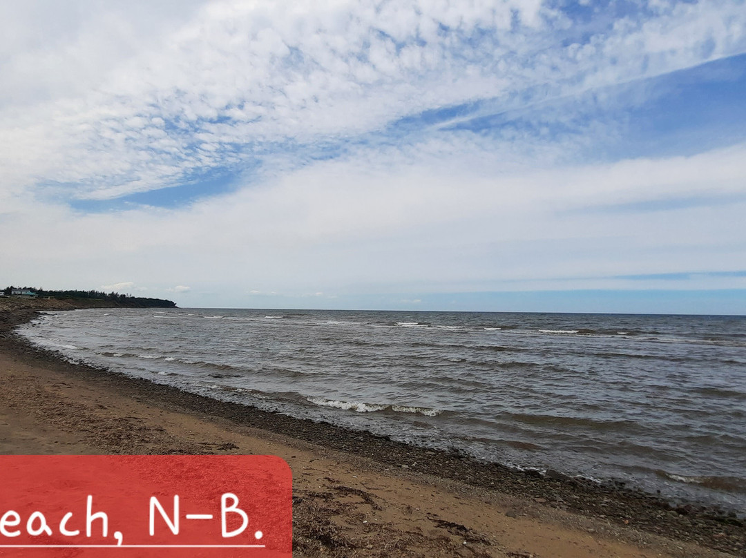 Murray Beach Provincial Park-Murray Corner必去景点