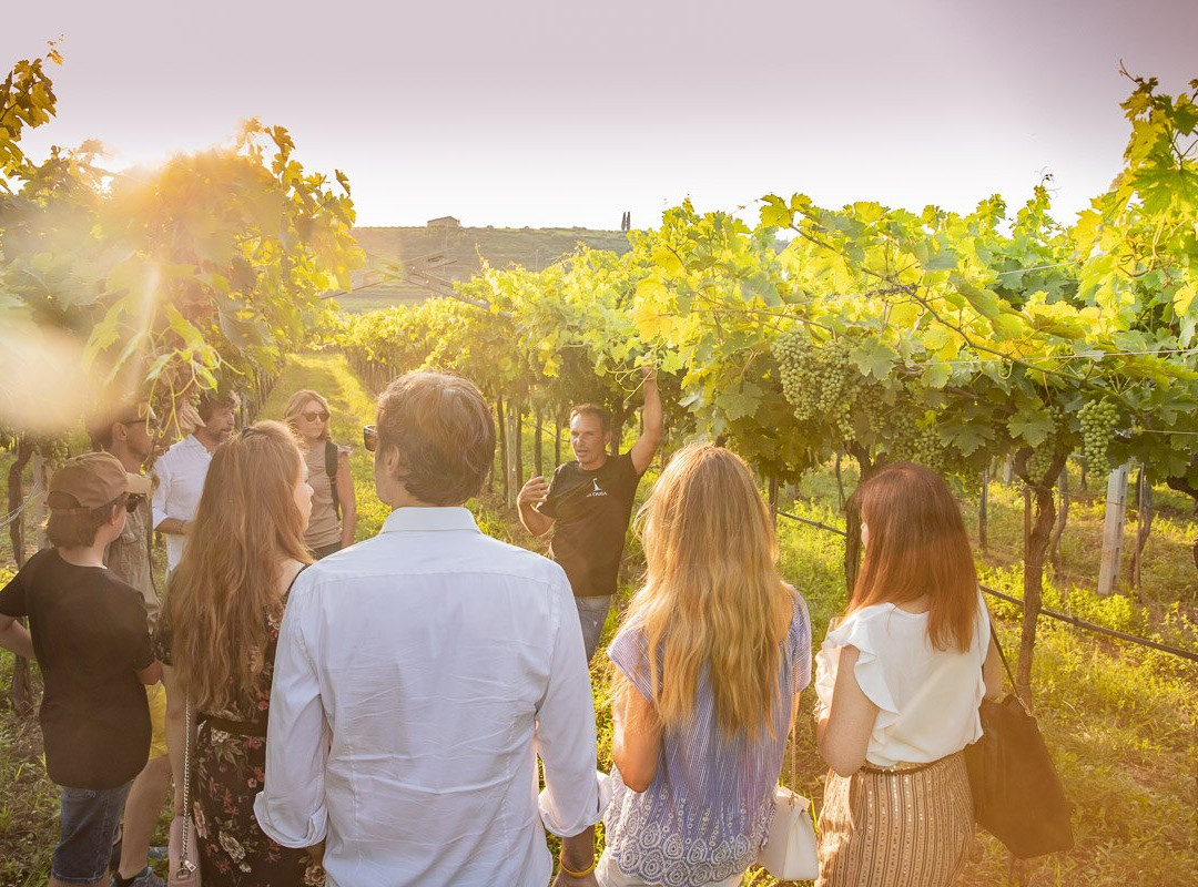 La Dama Vini-Negrar di Valpolicella必去景点