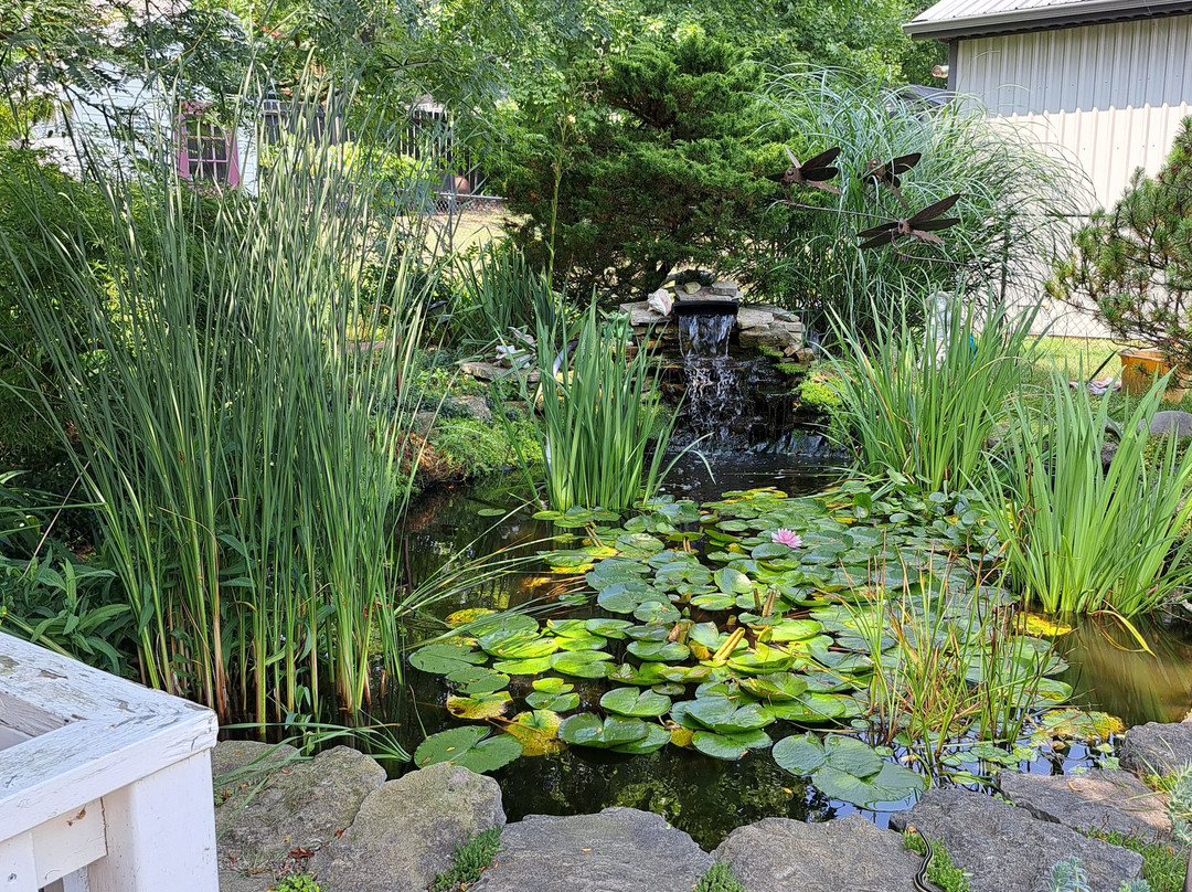 Carrousel Bed & Breakfast主图