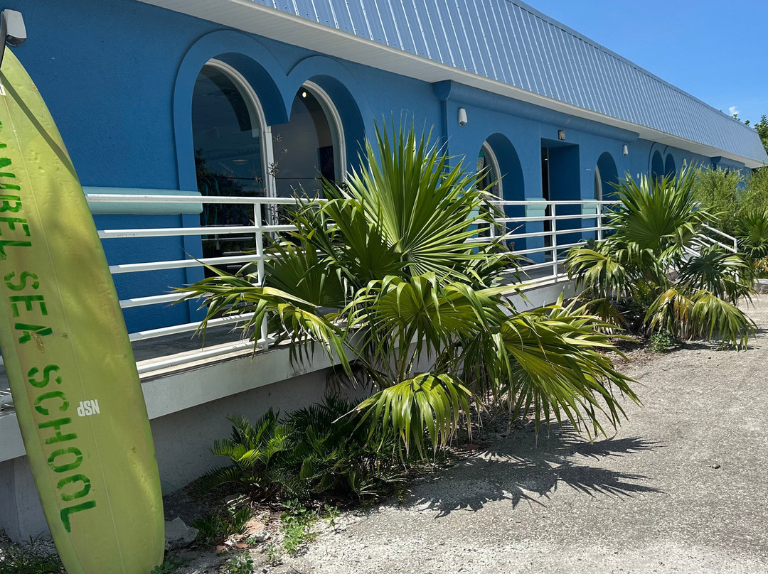 Sanibel Sea School-萨尼贝尔岛必去景点