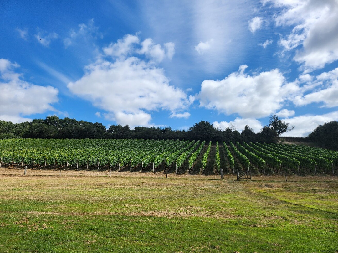 Lily Farm Vineyard-Budleigh Salterton必去景点