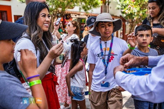 Obi Tours-瓦拉塔港必去景点