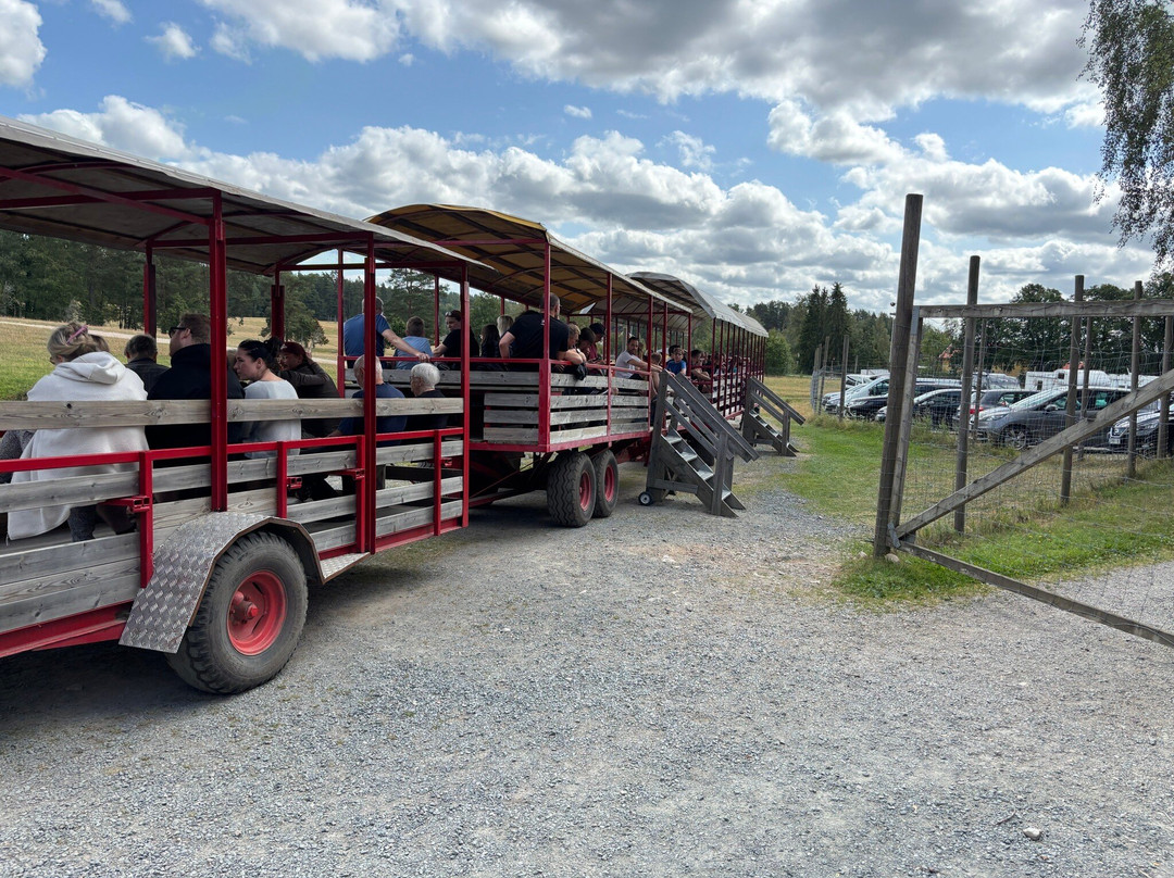 Skullaryd Älgpark-Eksjo必去景点