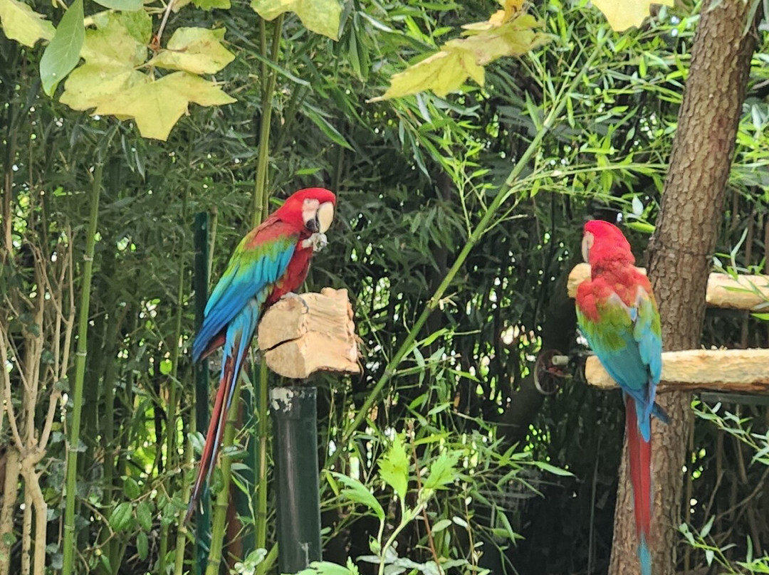 Le Parc des Perroquets-Bren必去景点