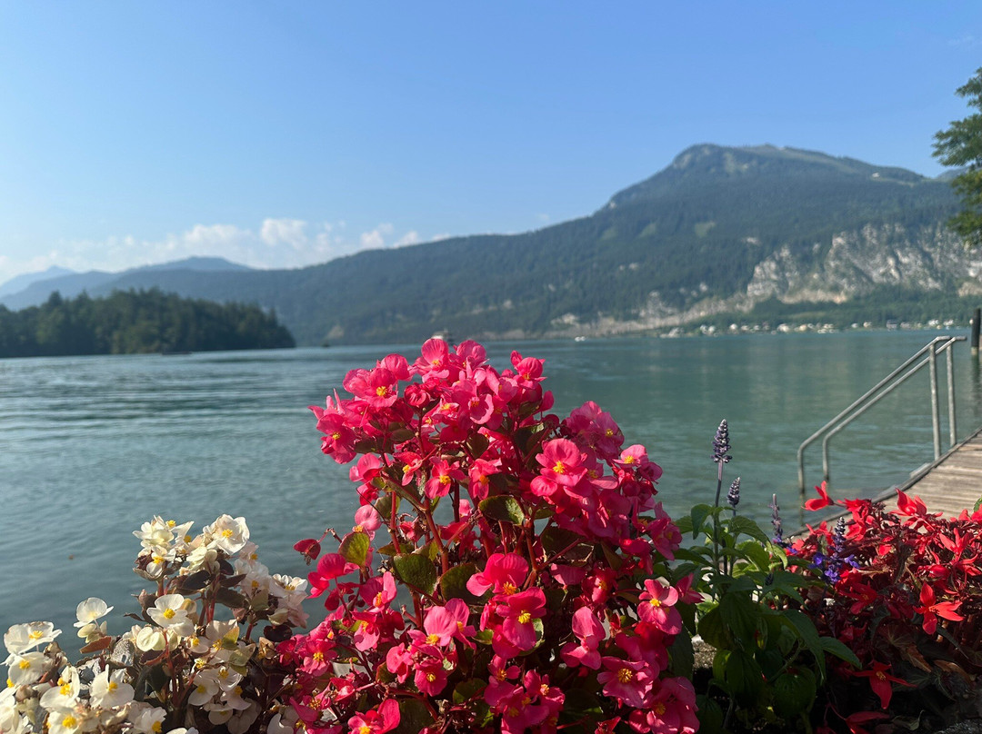 Hotel & Gasthof Fürberg主图