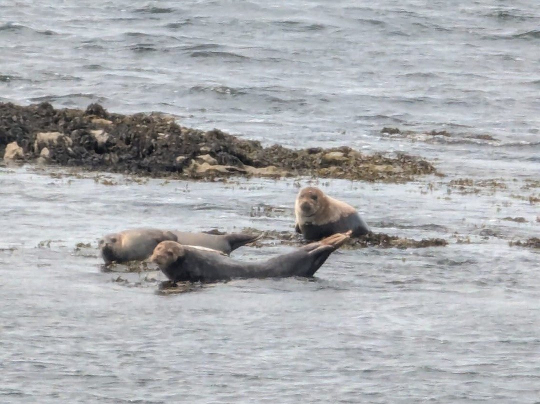 Seafari Cruises-肯梅尔必去景点