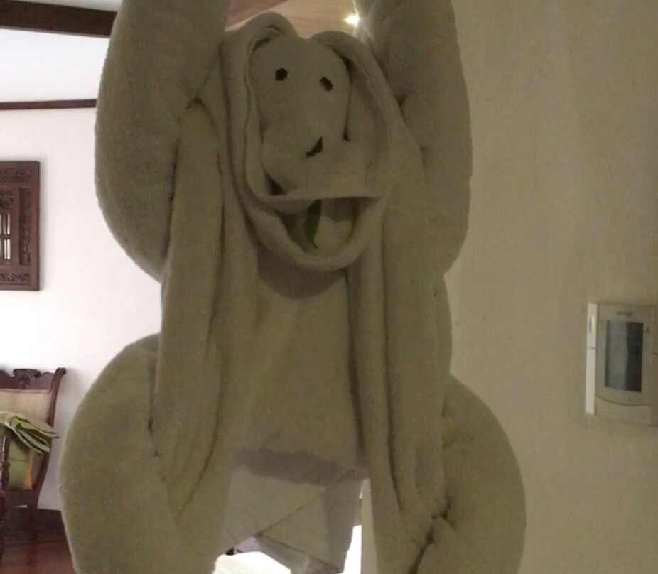 皇家棕榈滩大酒店主图