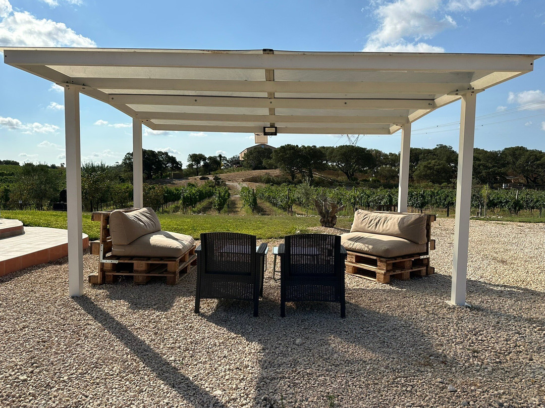 La Vinia Bed & Wine Experience