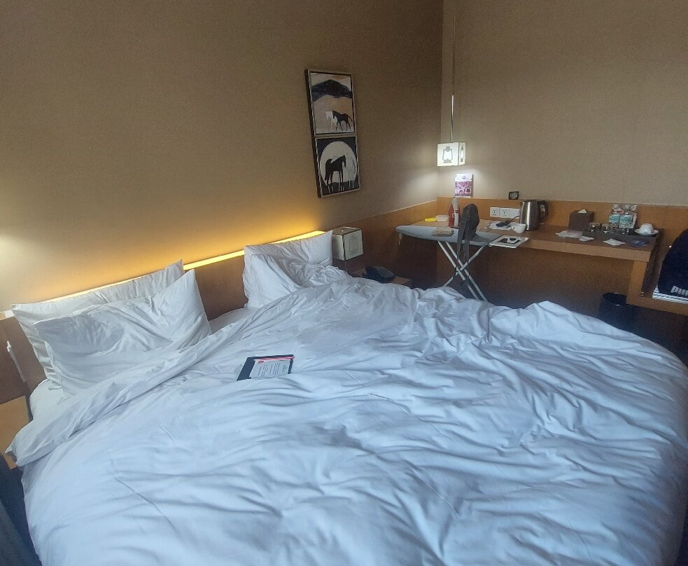 乌兰巴托城市中心华美达酒店主图