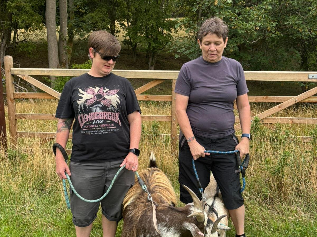 Walking the goats at Lower Coates-巴恩斯利必去景点