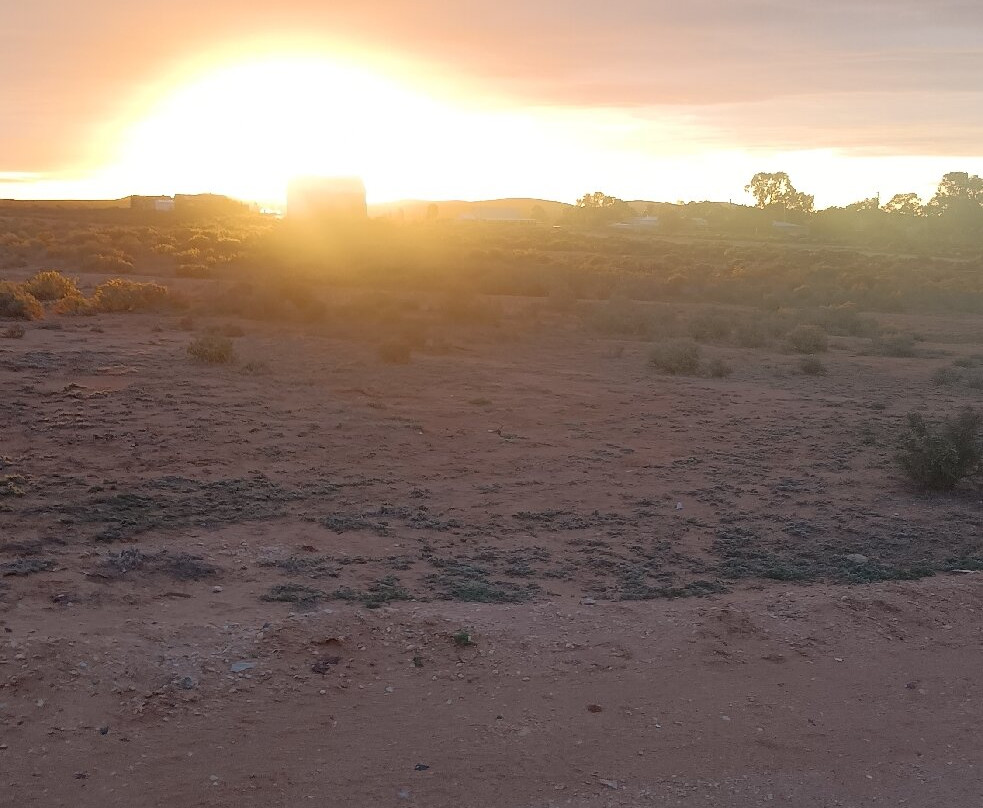 Silverton Outback Camels-Silverton必去景点