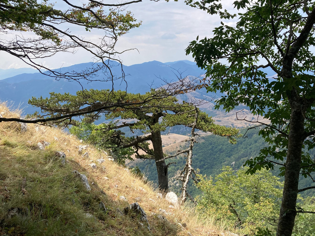 Belvedere Del Malvento-Viggianello必去景点