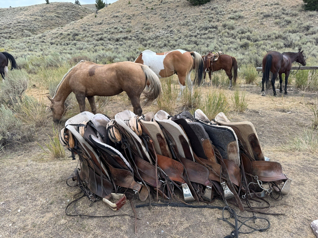 Silver Spur Ranch Idaho